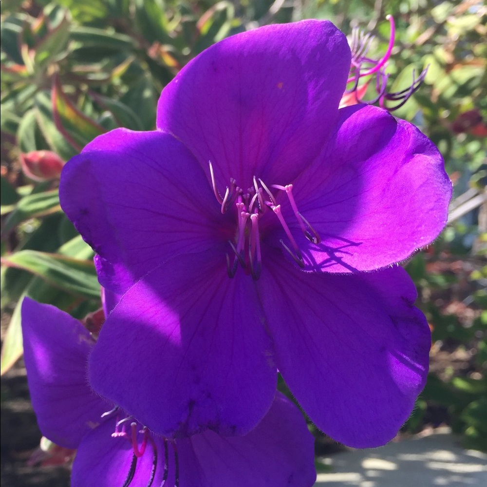 Meet your Posher, BJ